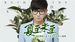 胡夏 - 夏至未至