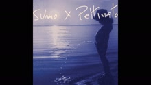 SumoXPettinato - El Ojo Blindado (Pseudo Video)