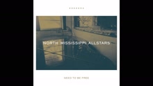 North Mississippi Allstars - Need to be Free (Audio) (Pseudo Video)
