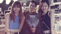 BLACKPINK - smiling blackpink