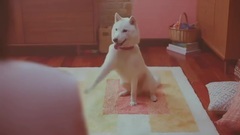 乃木坂46 - ソフトバンク(SoftBnk)CMまとめ9 ギガ割!編他 ついにギガちゃん登場!ギガの声って確か乃木坂46の 誰だっけ