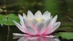 民乐群星,风景,音乐短片,轻音乐 - 明镜菩提