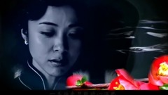 影视原声 - 红海棠 电视剧<红海棠>主题曲