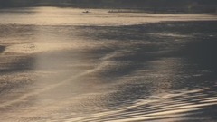 “西方近代音乐之父”巴赫:d小调第二大提琴组曲,BWV1008