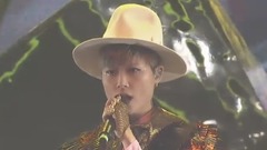 李宇春 - 存在感