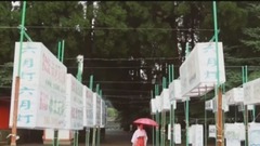 民乐群星,风景,轻音乐,乐动城市,日本娱乐 - 美好的夏日 summer in Japan