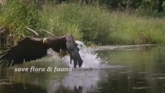 The Sound Of Silence