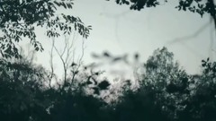 Hands Like Houses - Drift