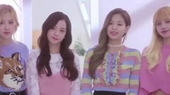 BLACKPINK - 粉末回归印象预告