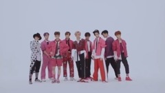 Cherry bomb镜面舞蹈翻转版