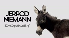 Jerrod Niemann - Donkey (Audio)