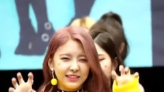 成员视放 排名 2017