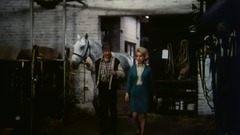 一颗流浪的心.Ein.Herz.geht.auf.Reisen.1969.D9.German.MiniSD-TLF