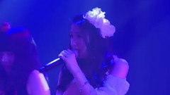 おしべとめしべと夜の蝶々