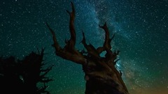 莫扎特:降B大调嬉游曲,K137