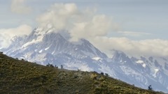 NEW ZEALAND. PROVEN HERE.