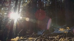 SAN JUANS. PROVEN HERE.