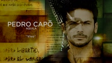 Pedro Capó - Vivo (Cover Audio)