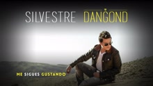 Silvestre Dangond - Me Sigues Gustando (Cover Audio)