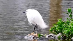 对你怀念特别多