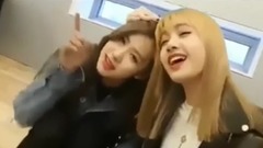 BLACKPINK - Blackpink的英文歌曲小剧场