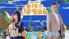 桥本环奈 - 警視庁いきもの係ティザースポット