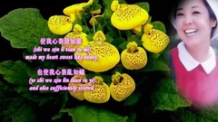 邓丽君 - 那天晚上遇见你