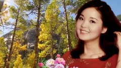 邓丽君 - 假如我是真的