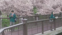 北川景子,小栗旬 - 「君の膵臓をたべたい」予告2