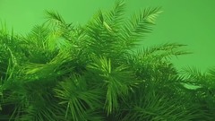 Slide (Official Audio)