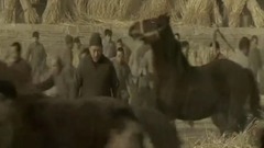 影视原声 - 电影<白鹿原>先行版预告片