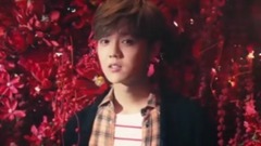 鹿晗 - 十年一刻 消磨这一身魂也陪你闯