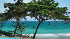 他哪里走 我哪里跟