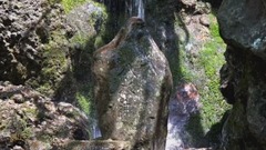 一个美丽的夏日