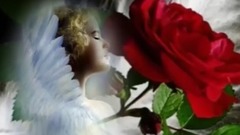 Good morning, my love!