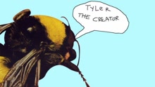 Tyler & The Creator - Tyler & The Creator - Who Dat Boy