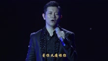 罗中旭 - 罗中旭 - 如果你不再爱了 演唱会Live版
