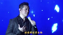 罗中旭 - 罗中旭 - 你可以不懂 演唱会Live版
