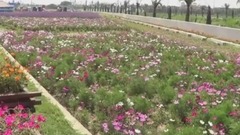 美丽的草原我的家