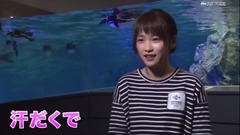 AKB48 - 川栄李奈,水族館の飼育員に挑戦