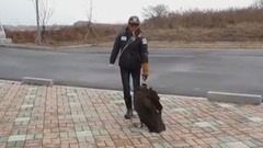 Young Korean With His Loved Vulture