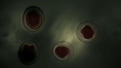 Madonna - Forbidden Love (2006 The Confessions Tour Promotion -Backdrop Video)