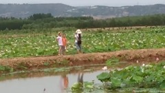 风语 - 雨荷 - 饭制版