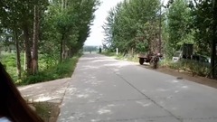 梦里水乡 - 饭制版