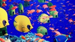 Вот это музыка! Лучшее для души...Джеймс Ласт Жизнь пре