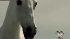 White Horse