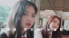 新西兰的故事 预告