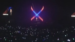 我想我不会爱你