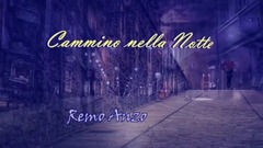 Cammino nella Notte