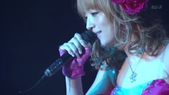 滨崎步 - No way to say